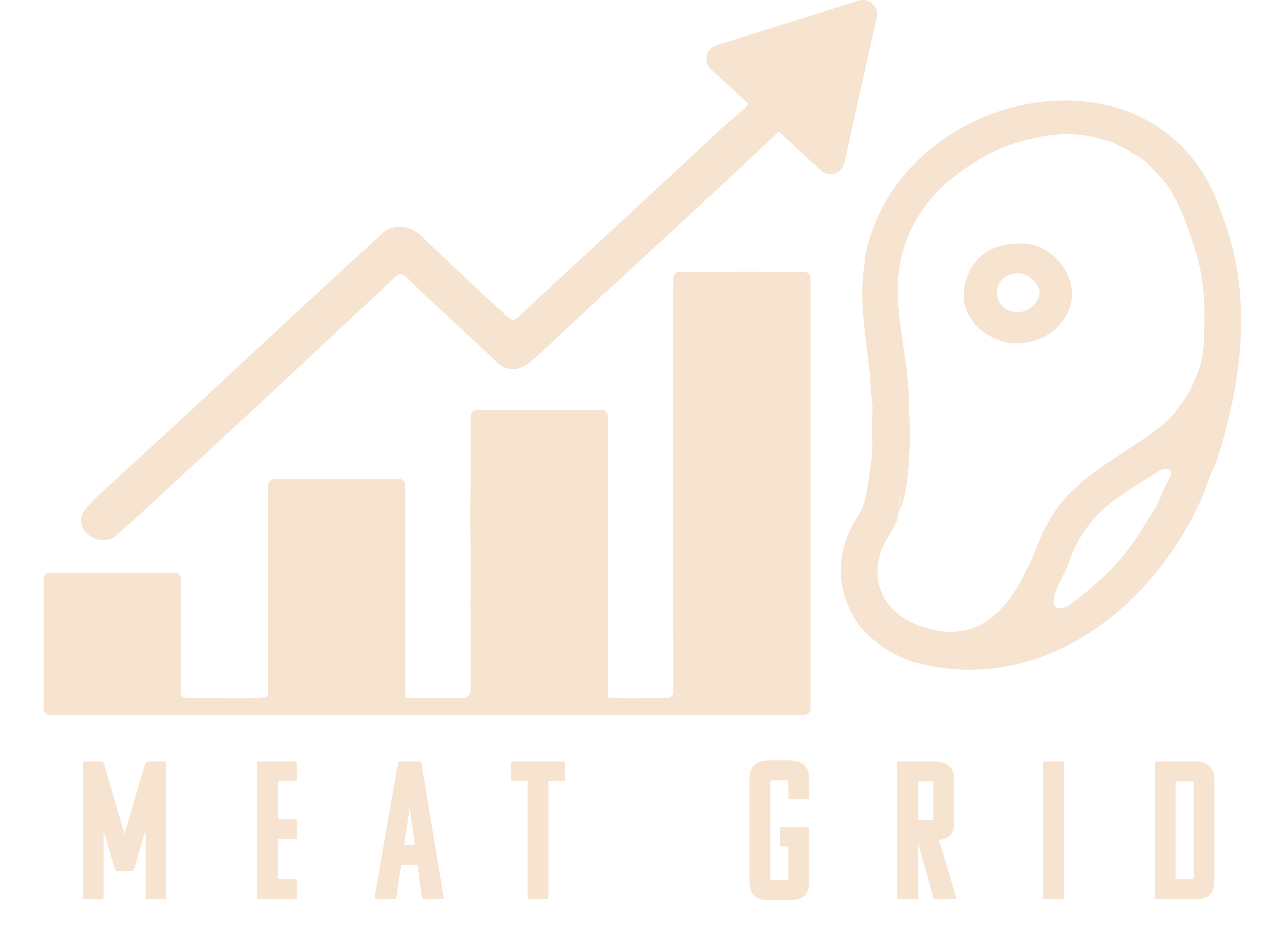 Meat Grid Logo
